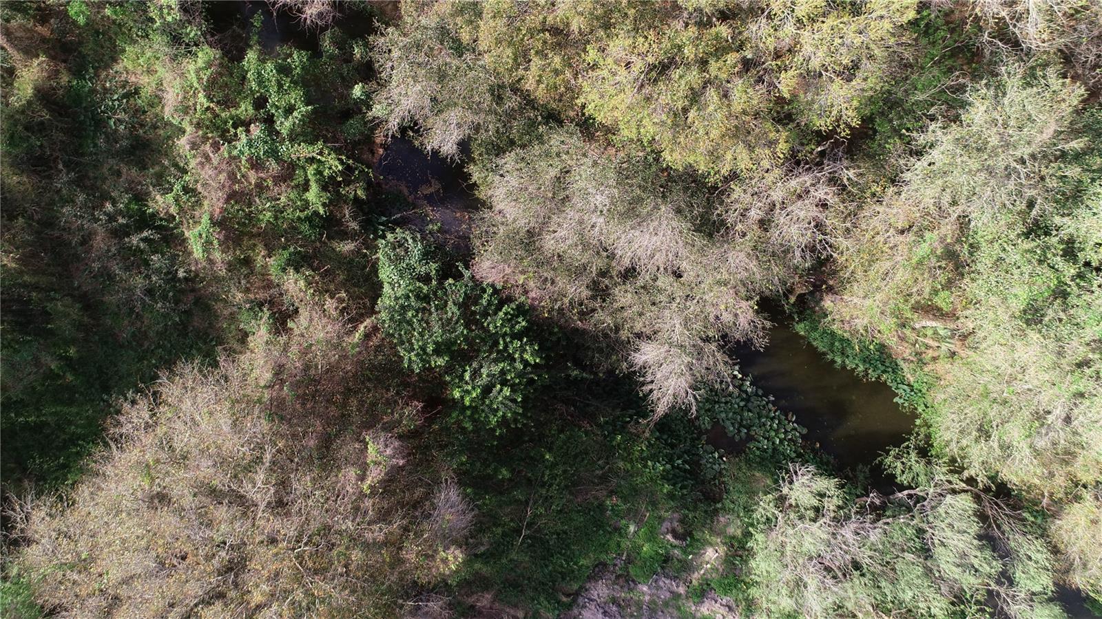 Image 3 of 10 For Address Not Provided