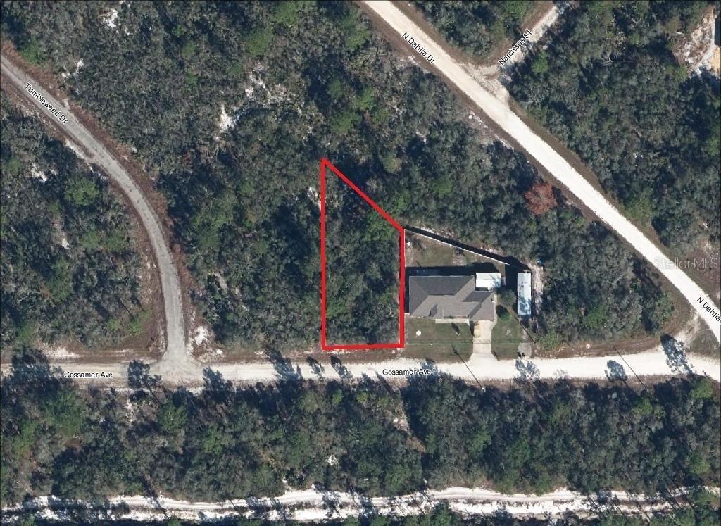Details for 3215 Gossamer Avenue, LAKE PLACID, FL 33852