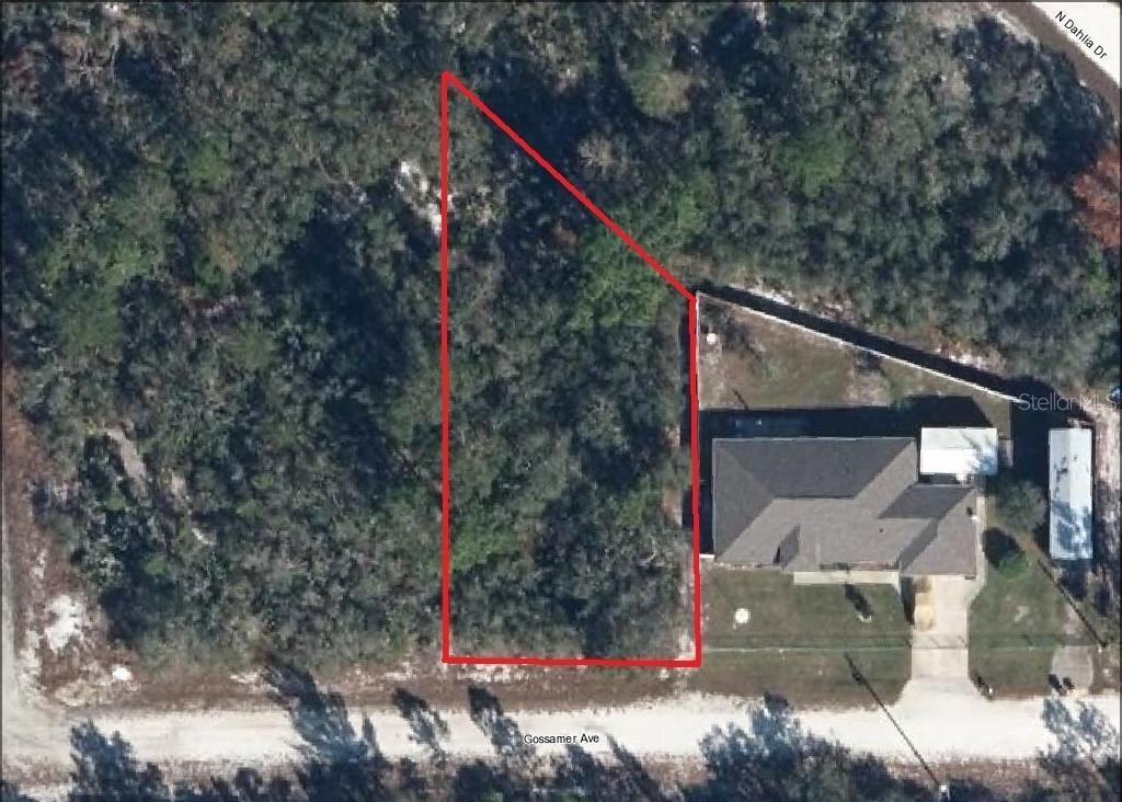 Image 4 of 4 For 3215 Gossamer Avenue