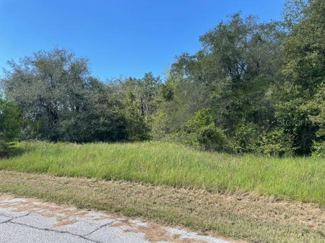 Details for Kissimmee Way, KISSIMMEE, FL 34759