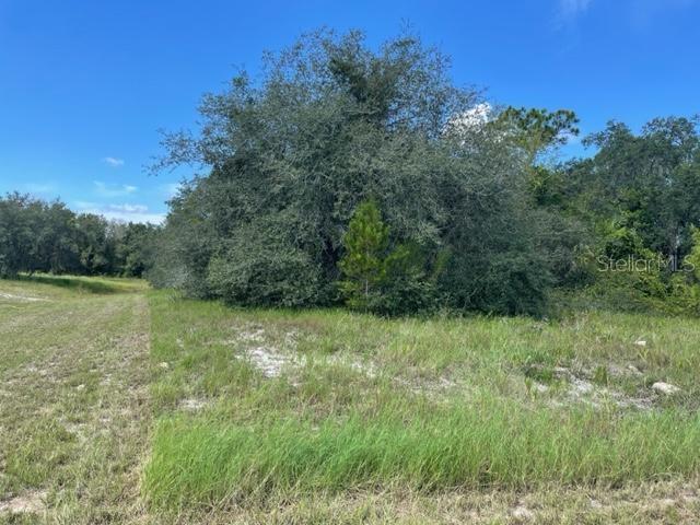 Image 2 of 4 For Kissimmee Way