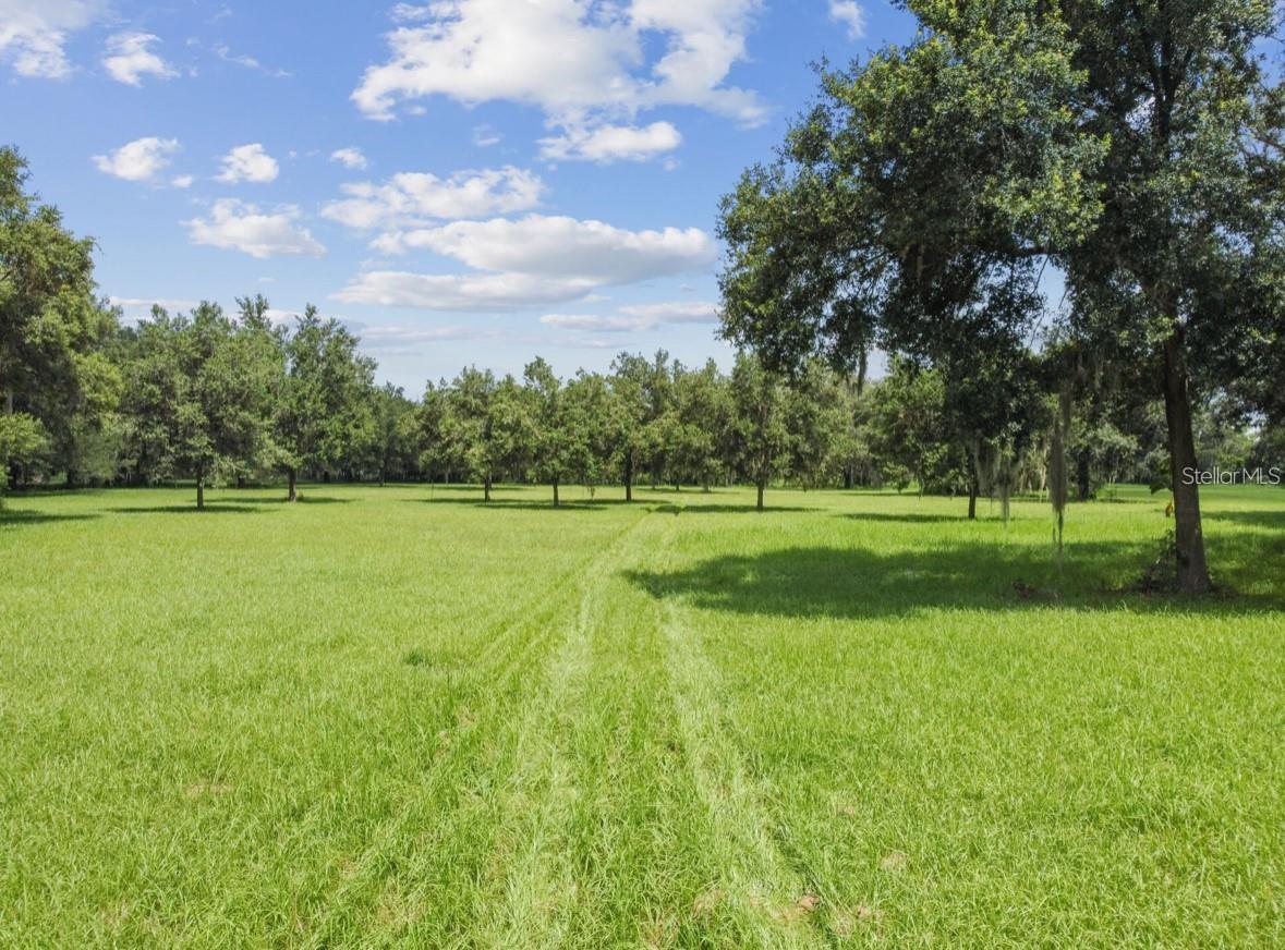 Image 5 of 10 For 2606 Sam Allen Road