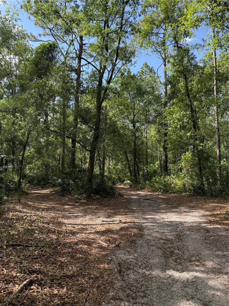 Image 2 of 4 For Creekwood Run