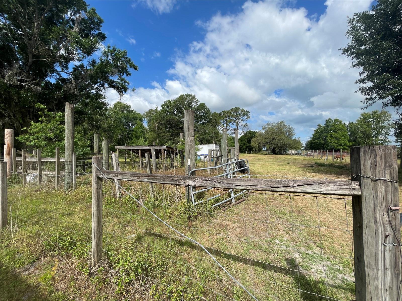 Image 30 of 75 For 14810 Brahma Road