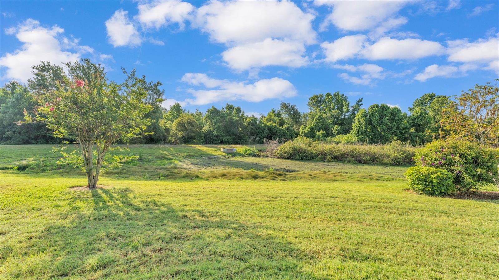 Image 44 of 53 For 1036 Stoney Creek Drive