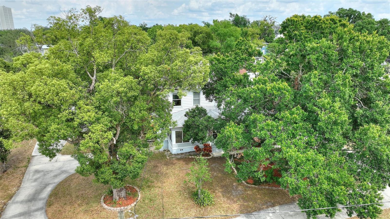 Image 9 of 64 For 716 Franklin Pl