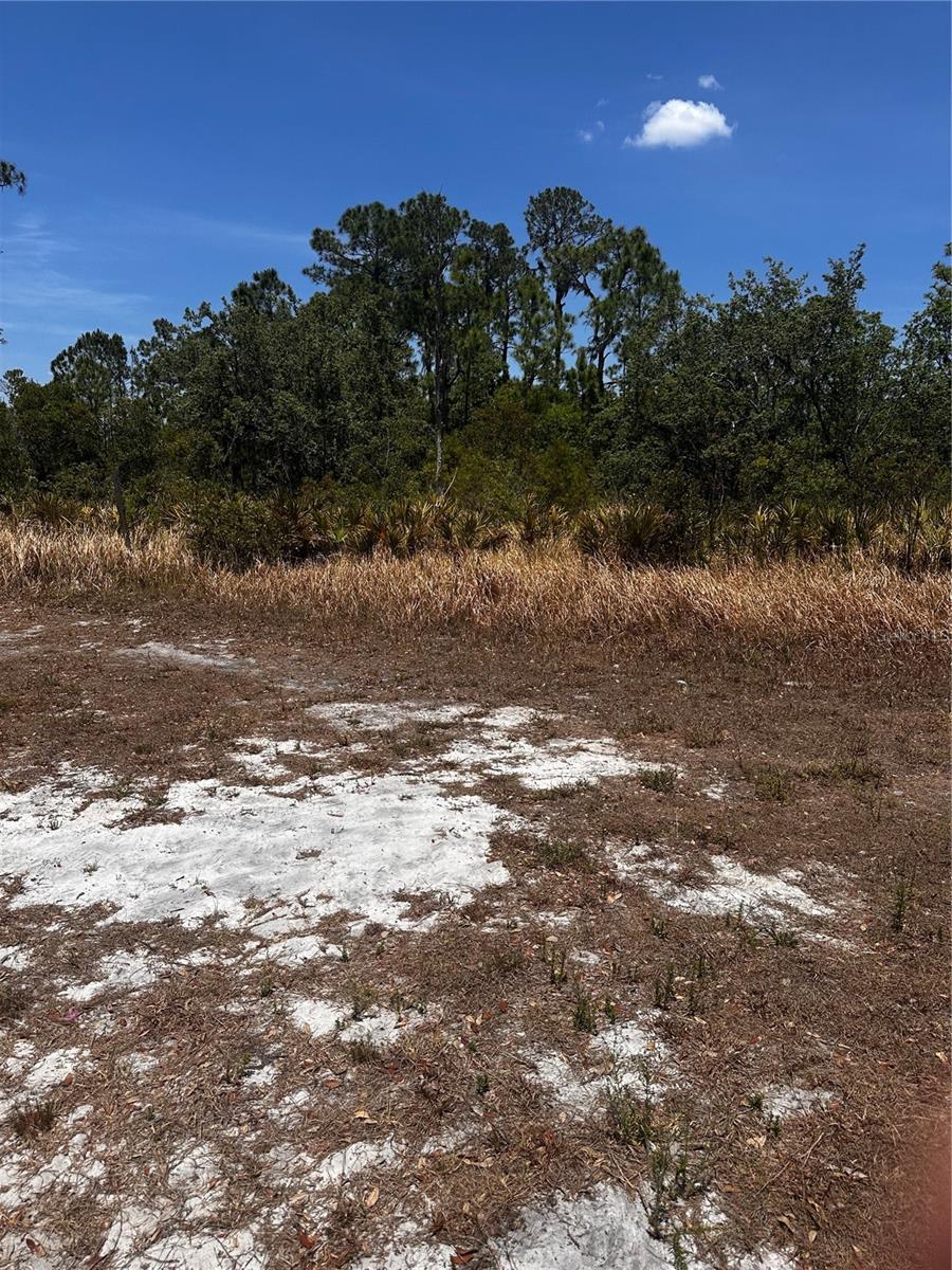 Image 12 of 24 For 730 Mcclellan Road