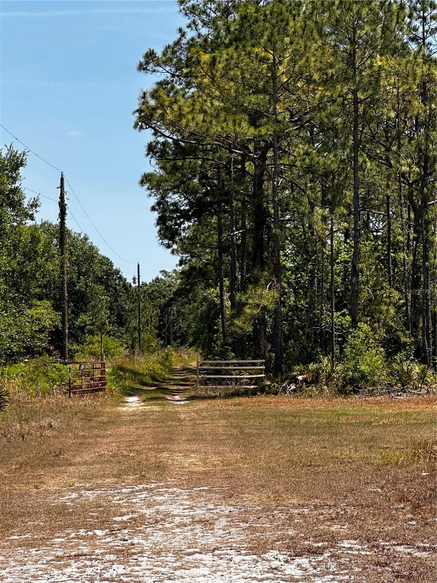 Image 15 of 24 For 730 Mcclellan Road