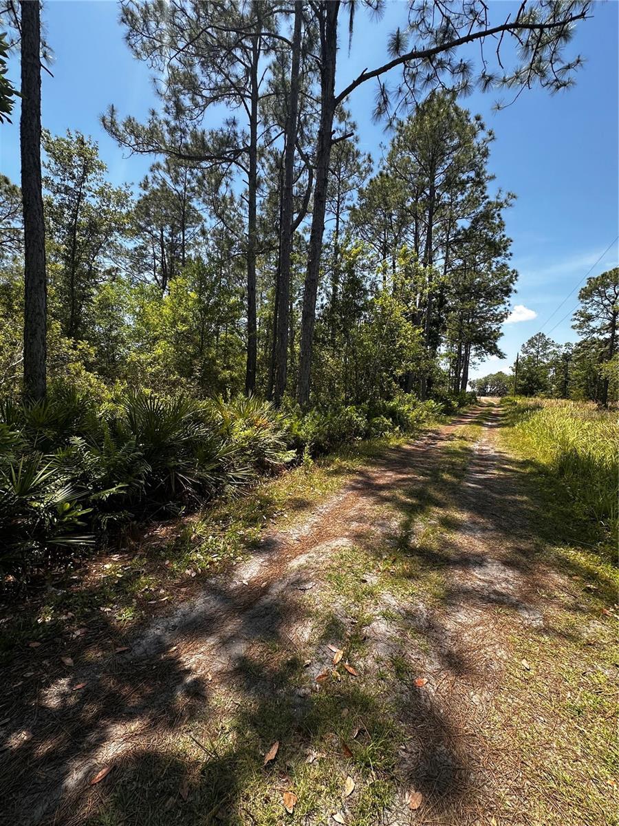 Image 19 of 24 For 730 Mcclellan Road