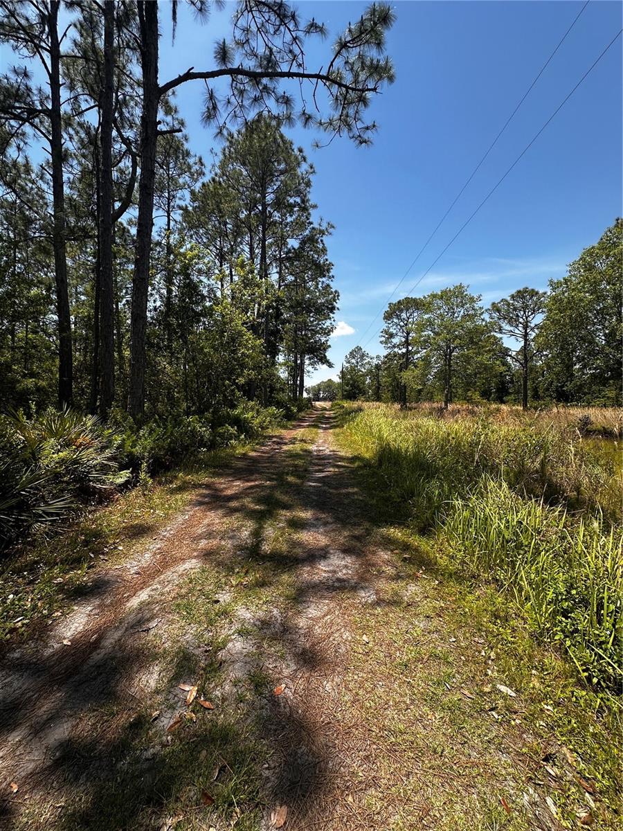 Image 21 of 24 For 730 Mcclellan Road
