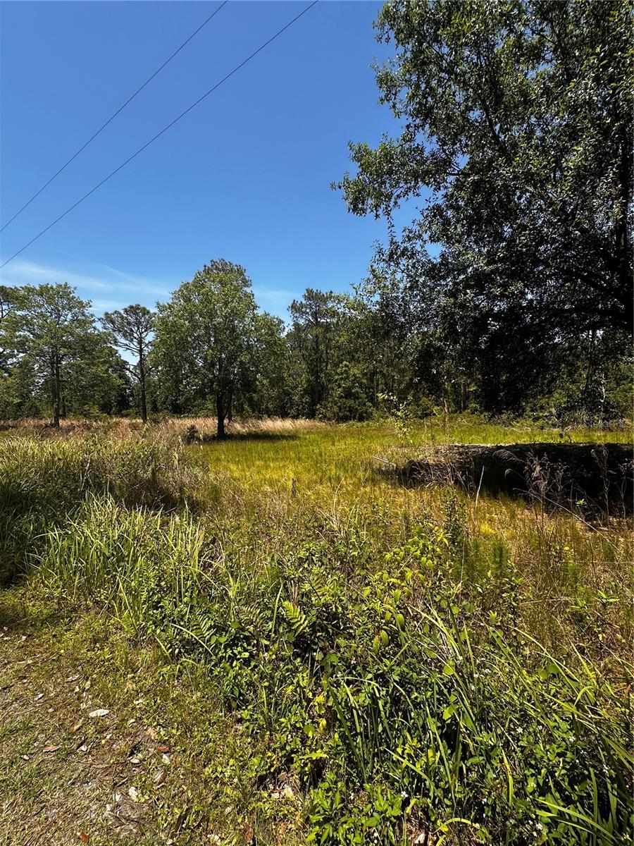 Image 23 of 24 For 730 Mcclellan Road