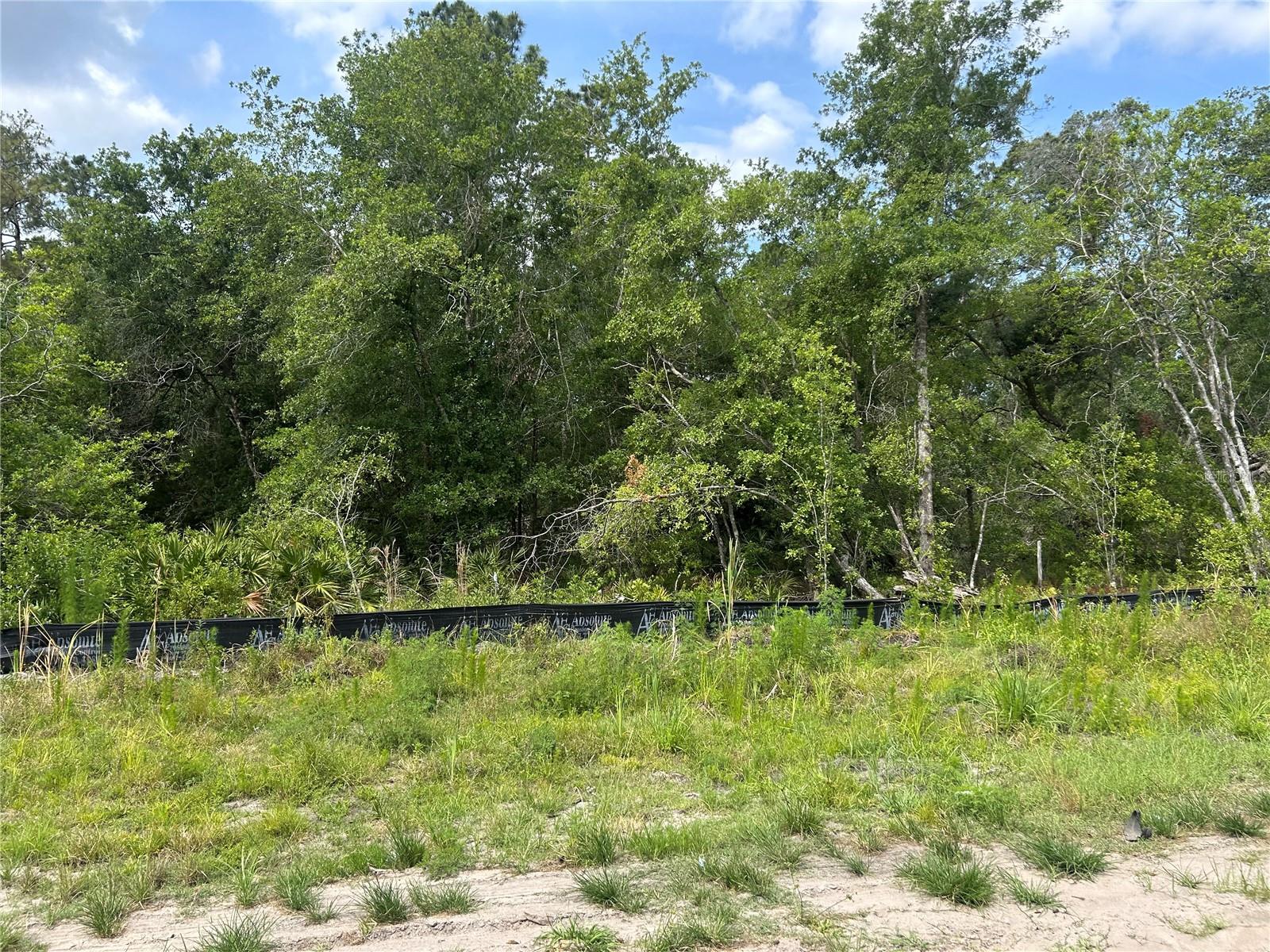 Image 2 of 2 For  Us-98  