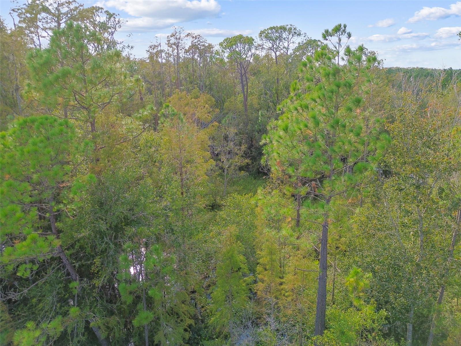 Image 60 of 67 For 15354 Sweet Springs Bend