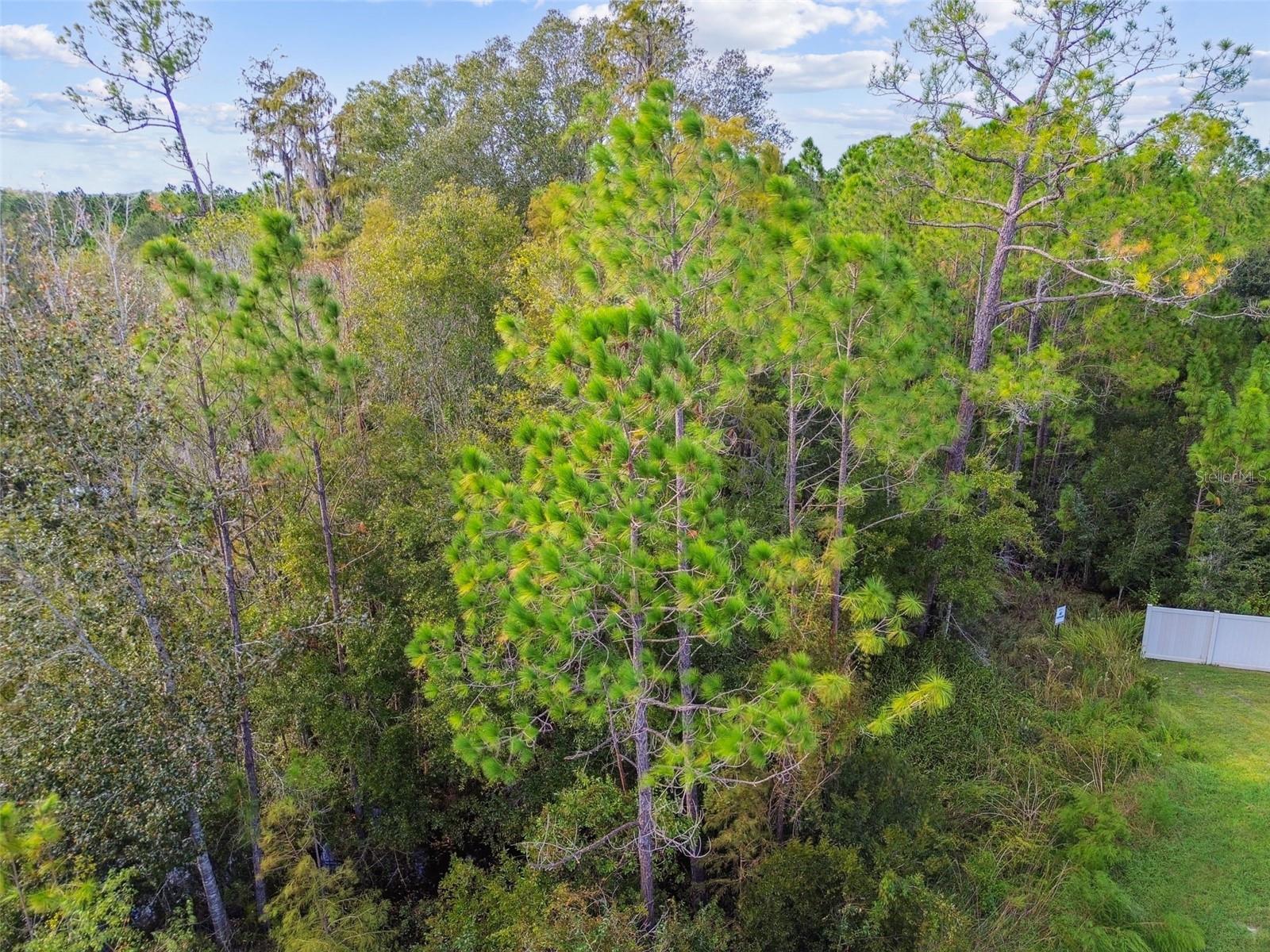 Image 61 of 67 For 15354 Sweet Springs Bend