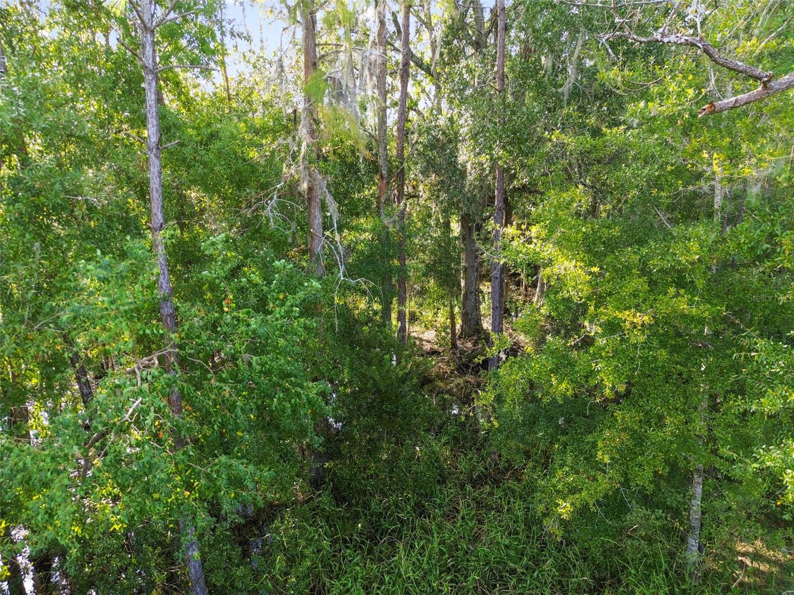 Image 63 of 67 For 15354 Sweet Springs Bend
