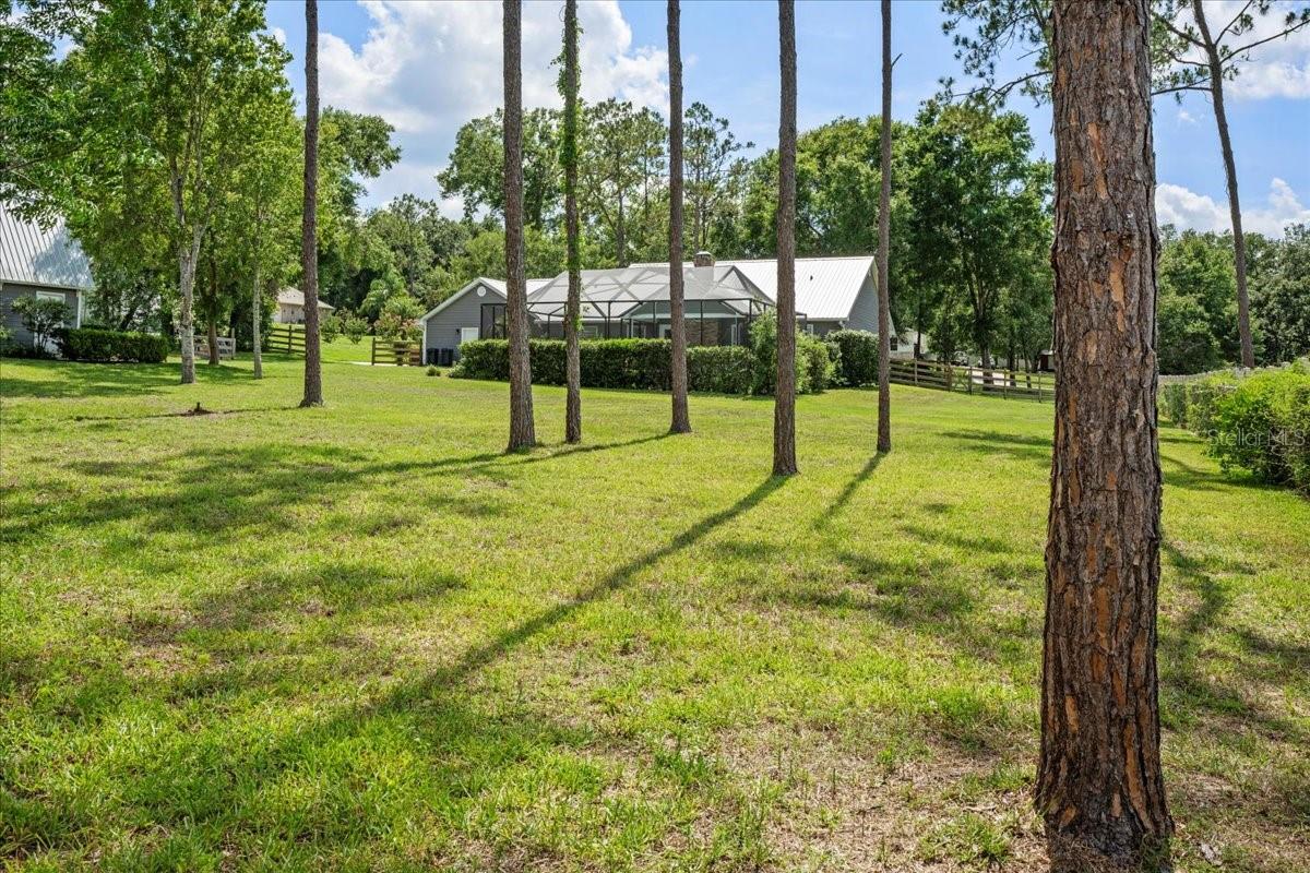 Listing photo id 21 for 9912 Pine Leaf Lane