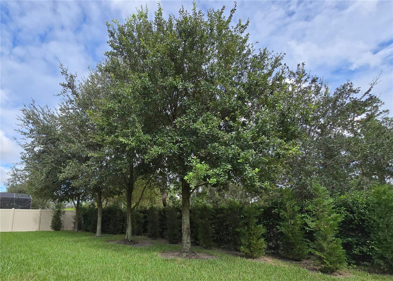 Image 75 of 79 For 13525 Gorgona Isle Drive