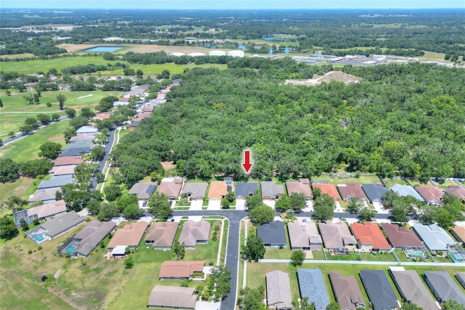 Image 46 of 54 For 1233 Emerald Hill Way