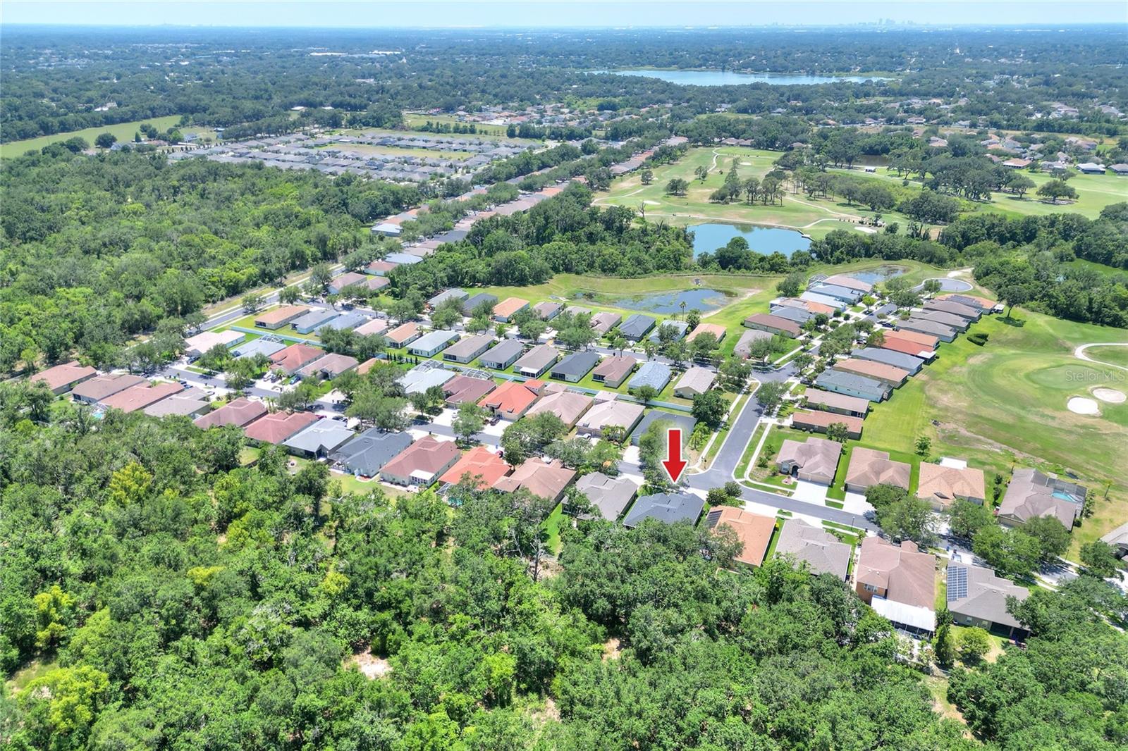 Image 48 of 54 For 1233 Emerald Hill Way