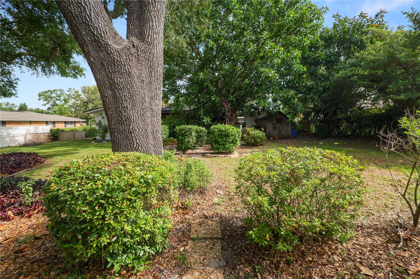 Listing photo id 35 for 509 Rob Roy Street