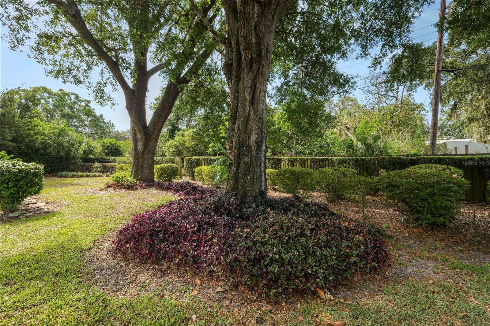 Listing photo id 40 for 509 Rob Roy Street