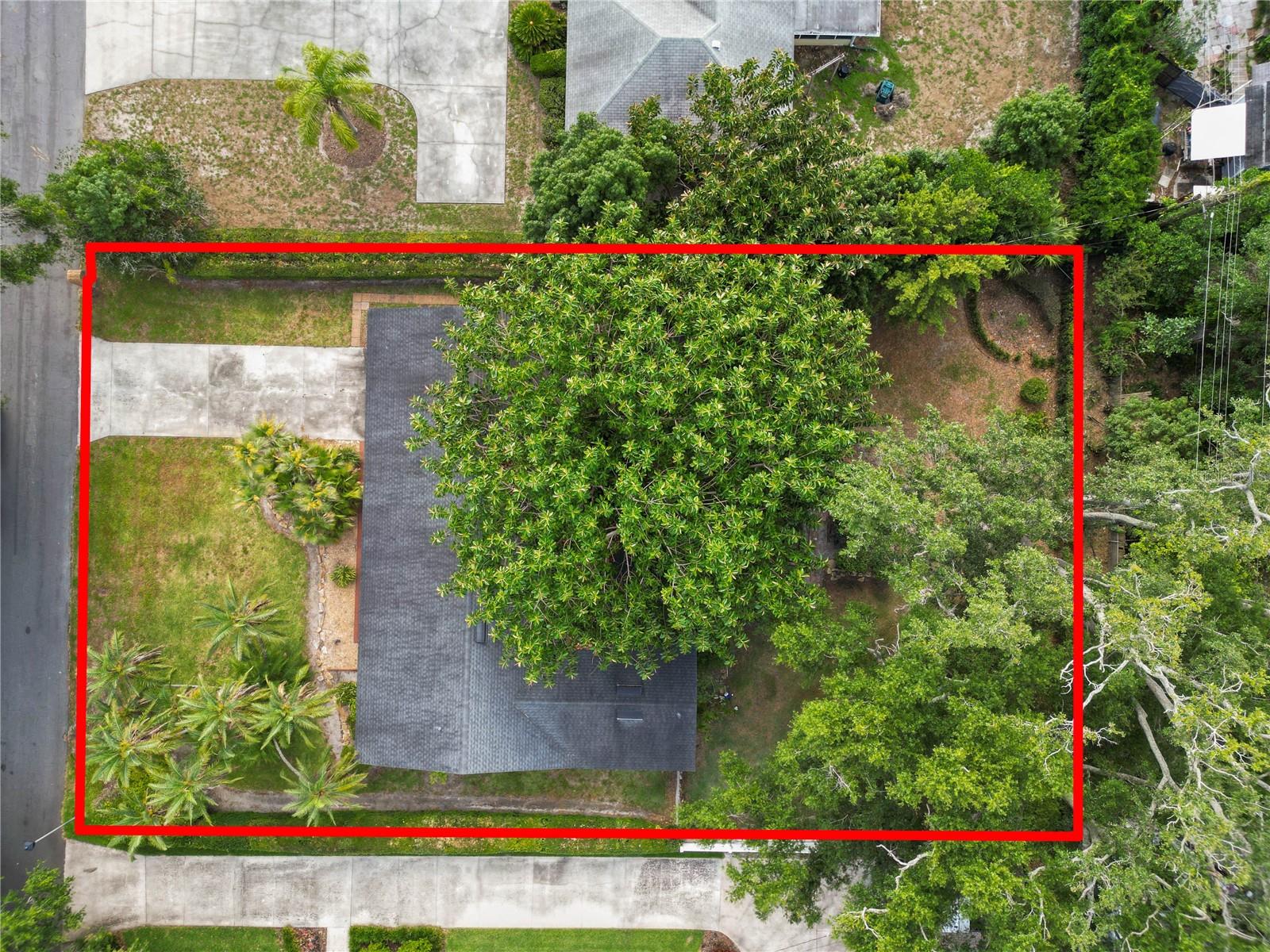 Listing photo id 5 for 509 Rob Roy Street