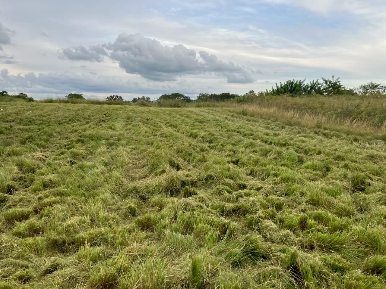 Image 3 of 10 For 10069 County Road 555