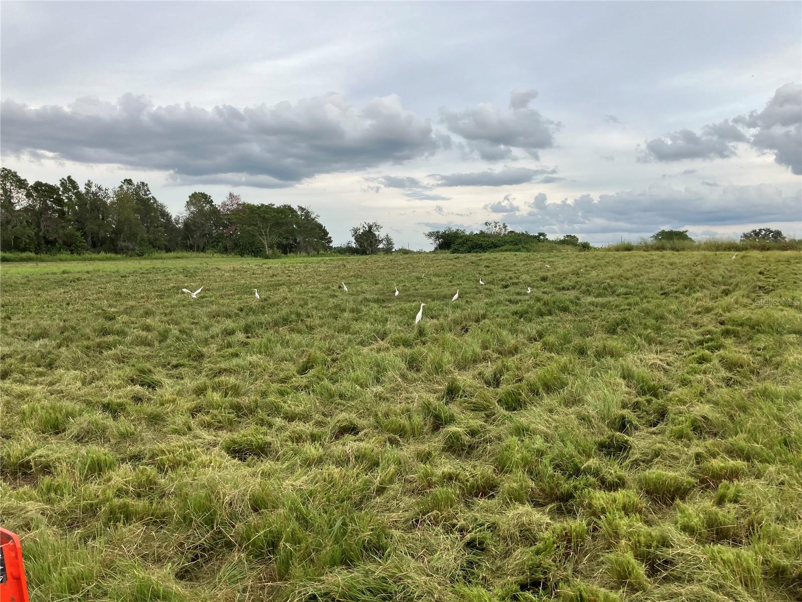 Image 9 of 10 For 10069 County Road 555