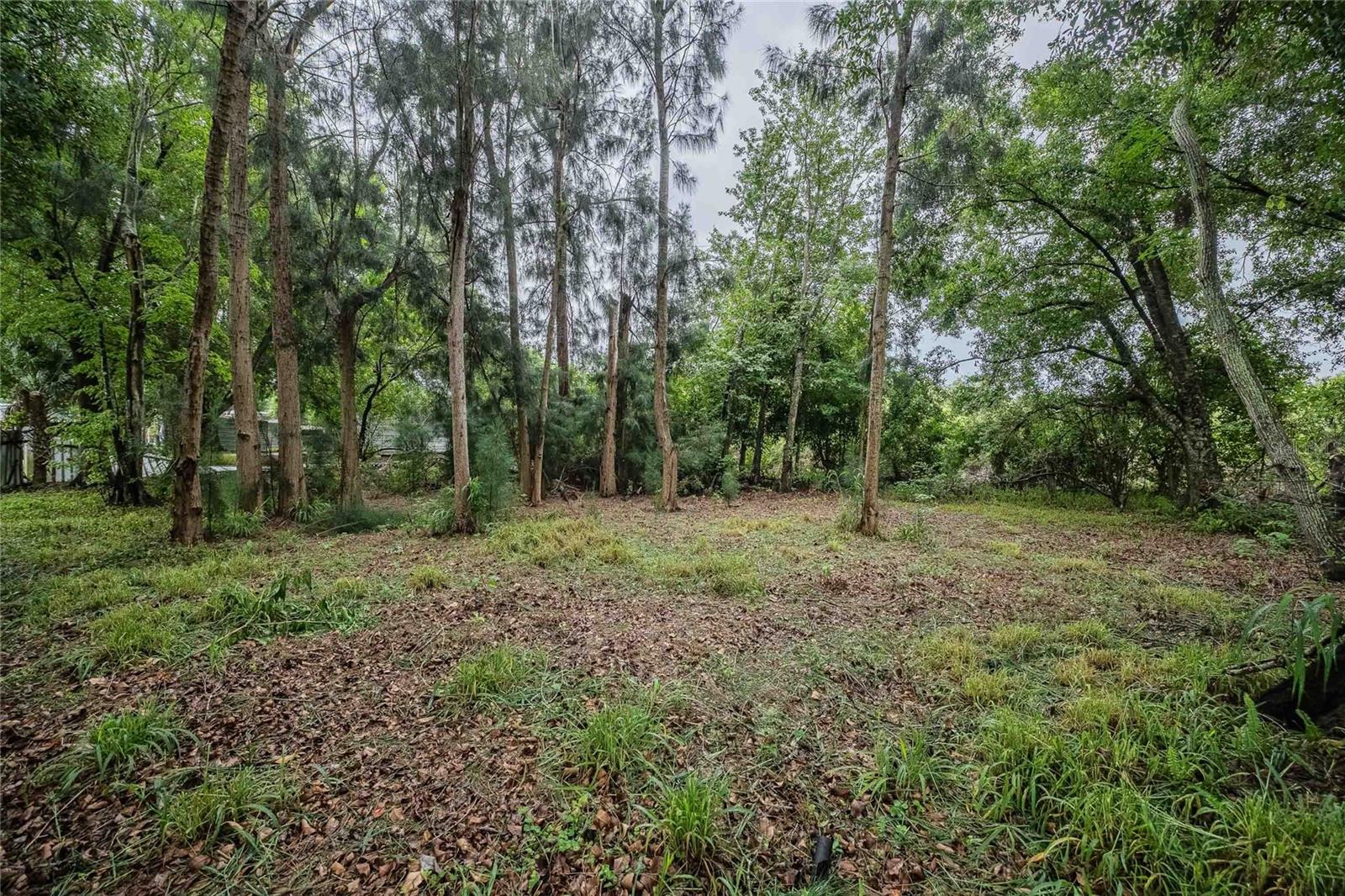 Image 11 of 30 For 2747 Old Bartow Road