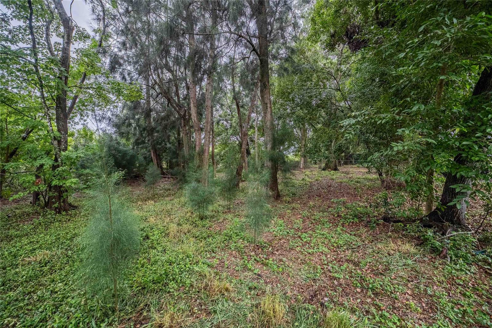 Image 12 of 30 For 2747 Old Bartow Road