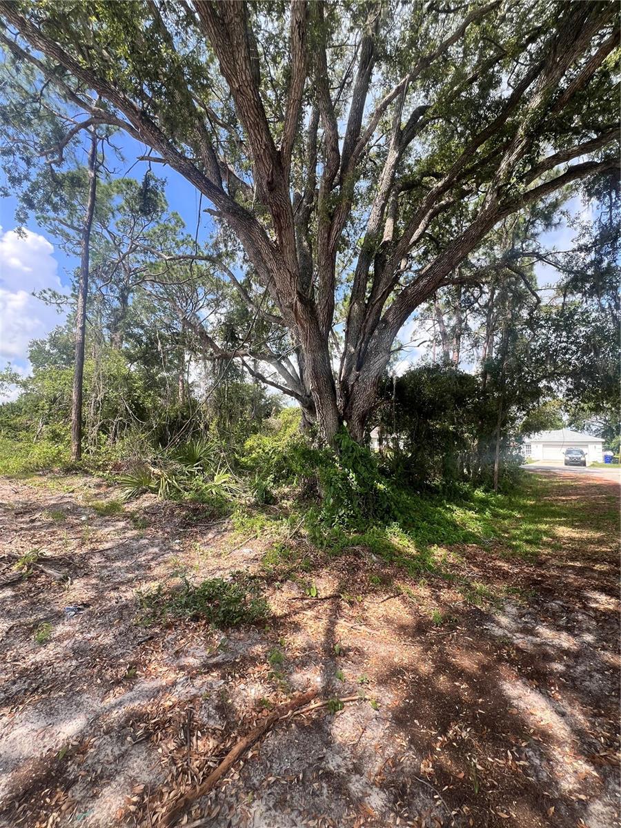 Image 6 of 6 For 4021 Simca Street