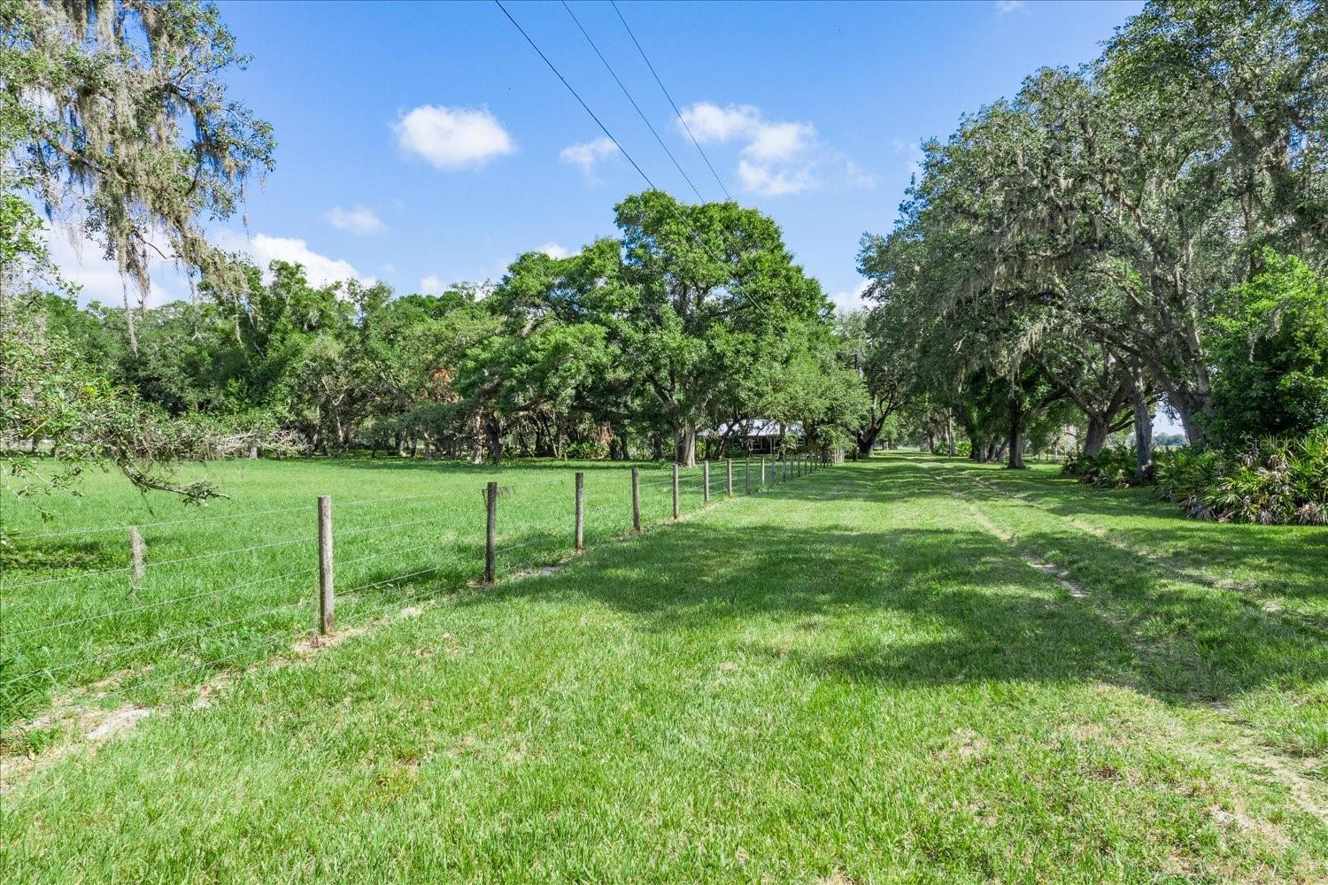 Image 10 of 60 For 203 Boyer Street