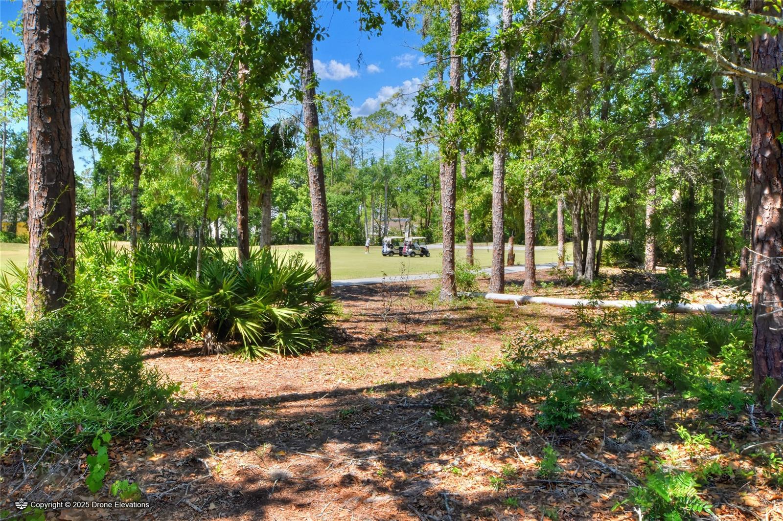 Image 43 of 65 For 34852 Teeview Lane