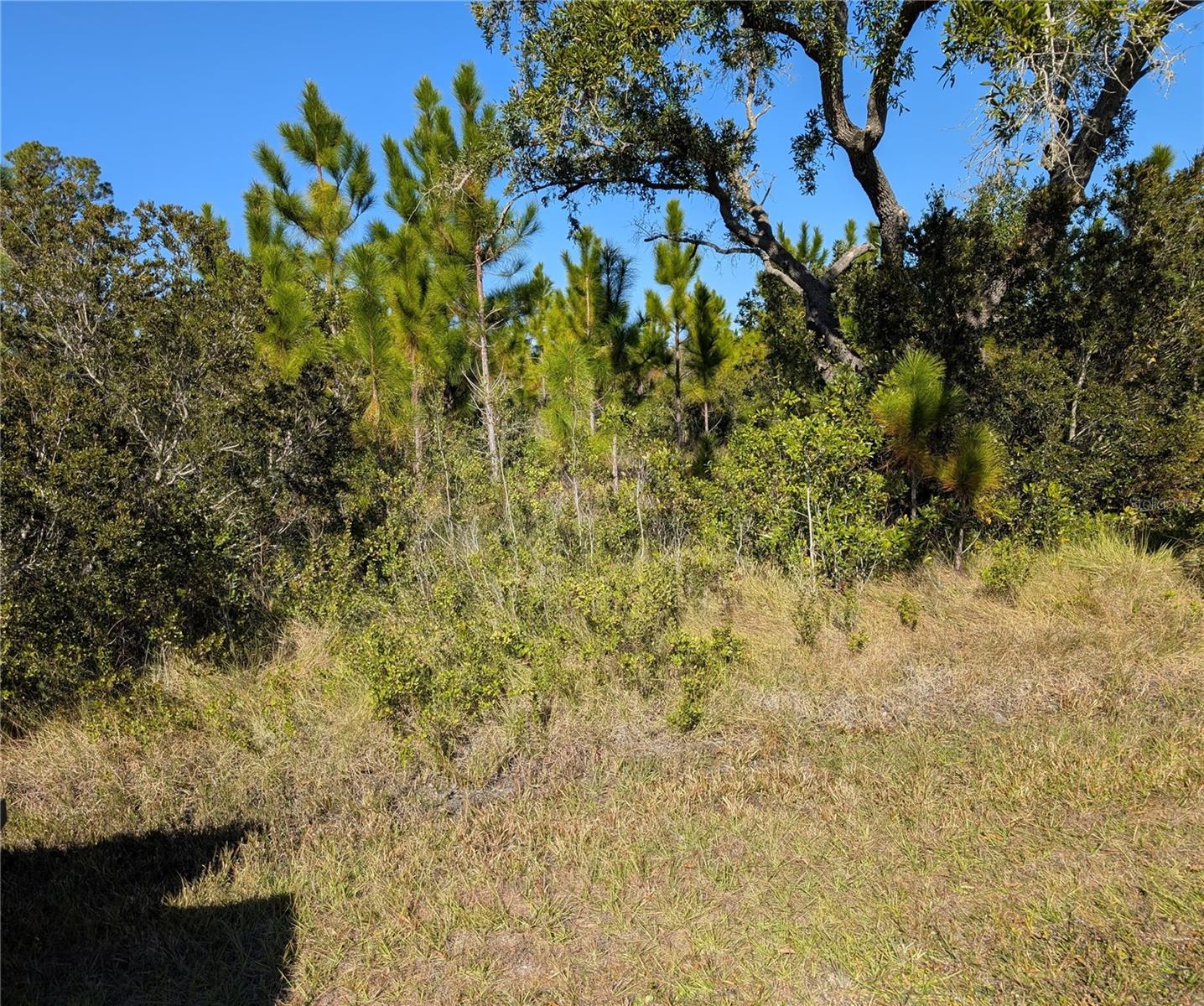 Image 1 of 4 For 120 Tropicana Drive