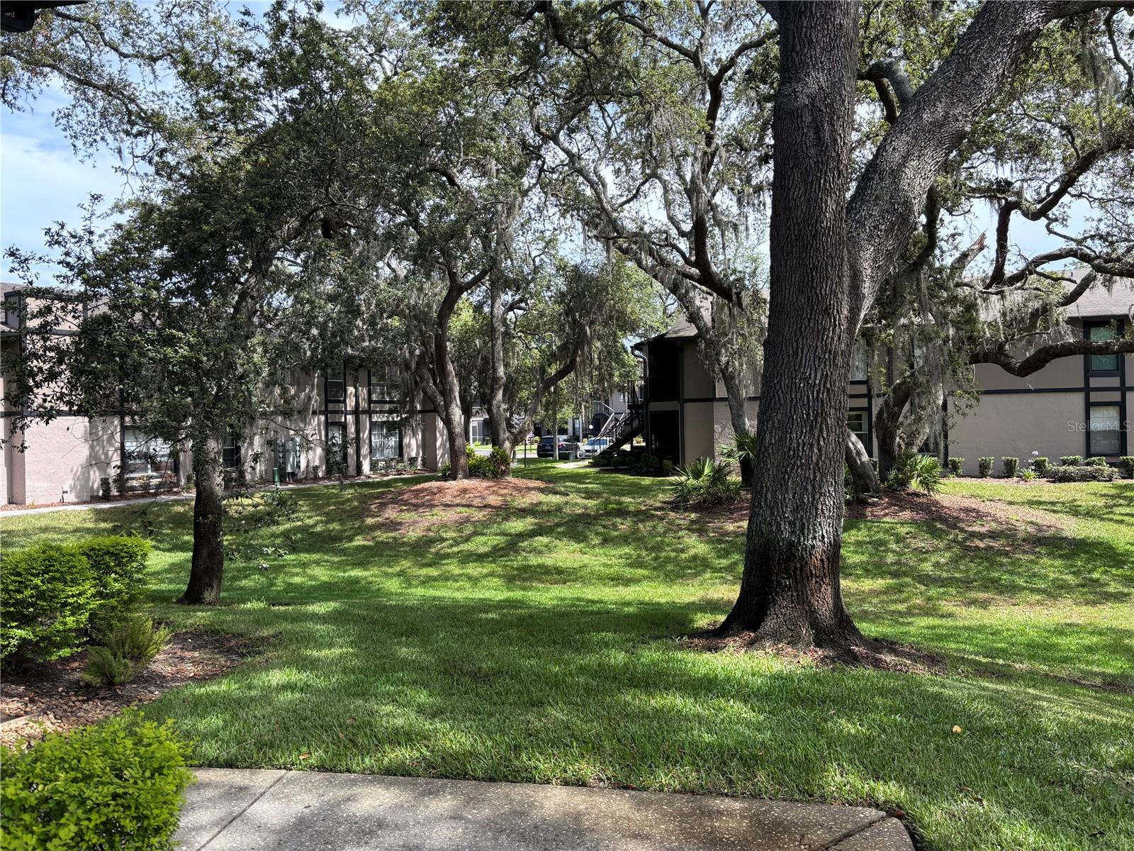 Listing photo id 4 for 4022 Tumble Wood Trail 101
