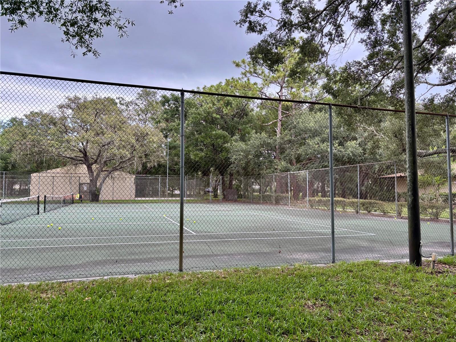 Image 36 of 44 For 11704 Raintree Village Boulevard B