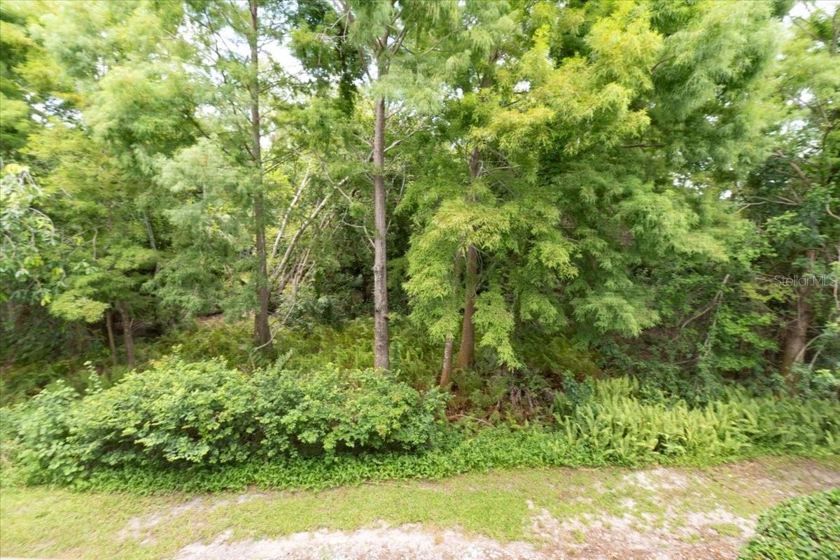 Image 45 of 69 For 3608 54th Drive W 202