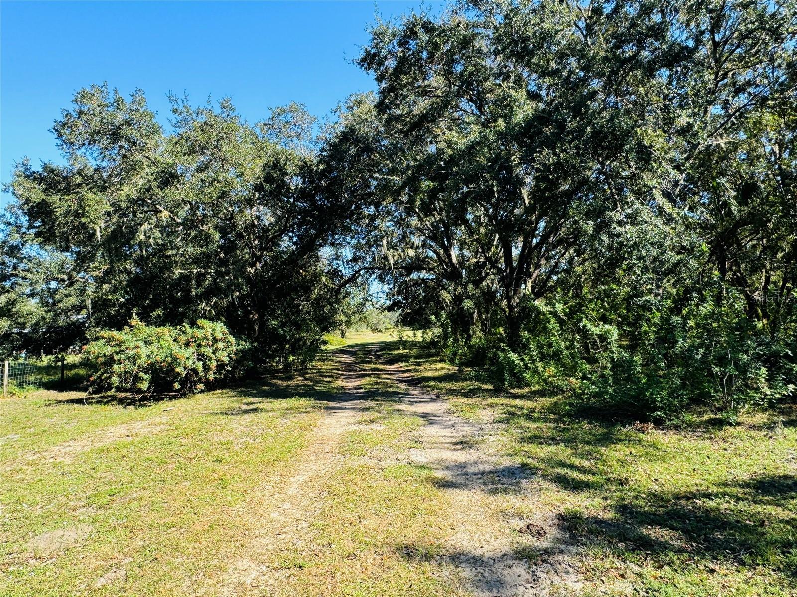 Image 5 of 23 For 5525b Sparta Road