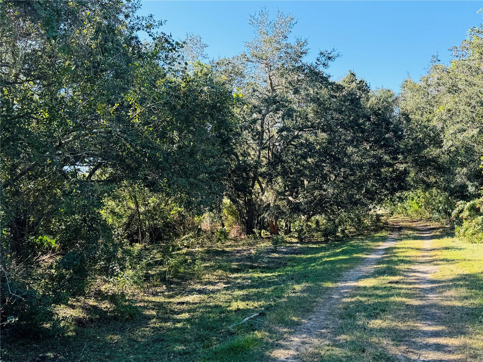 Image 7 of 23 For 5525b Sparta Road