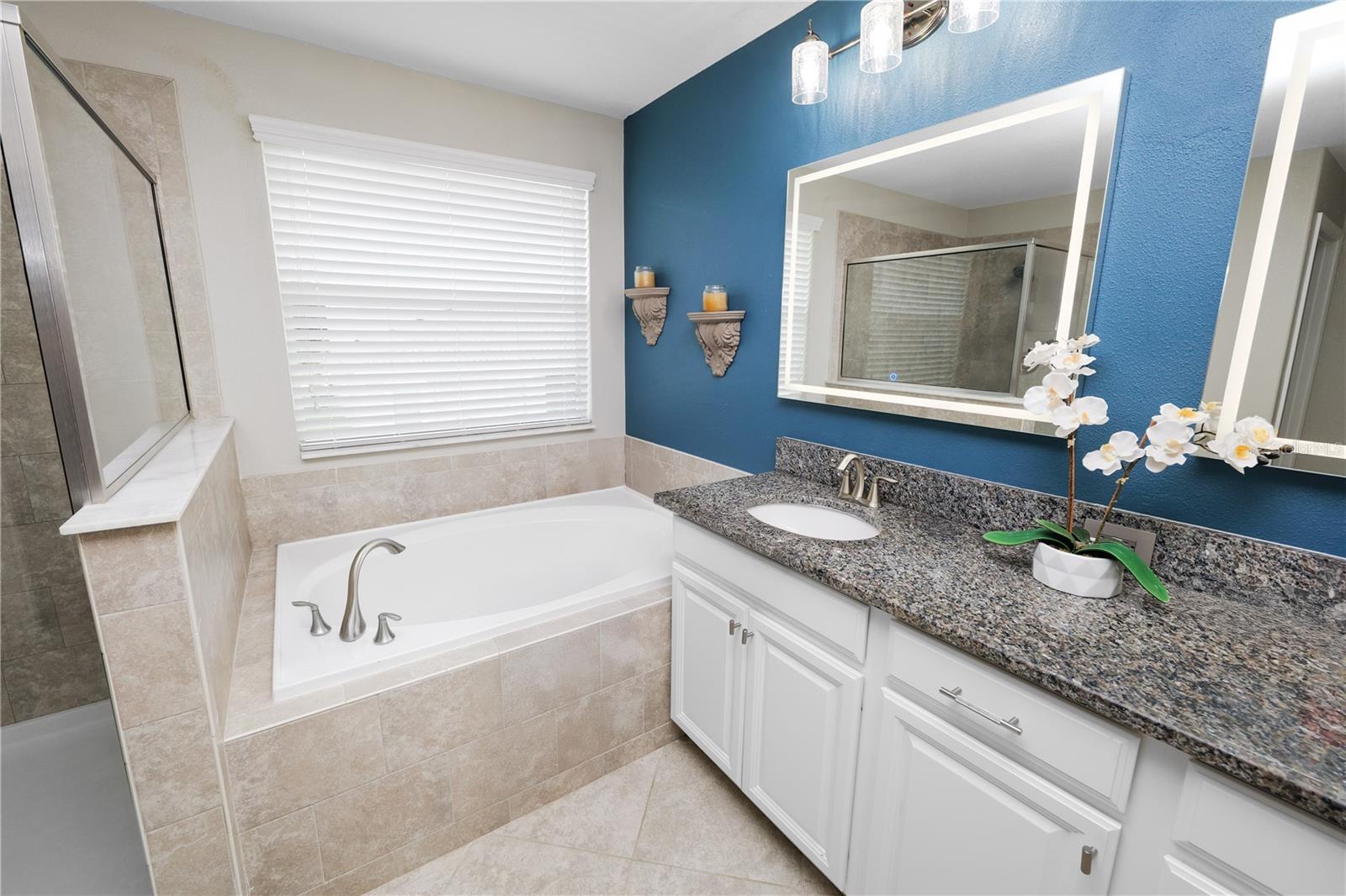 Image 28 of 52 For 1044 Oliveto Verdi Court