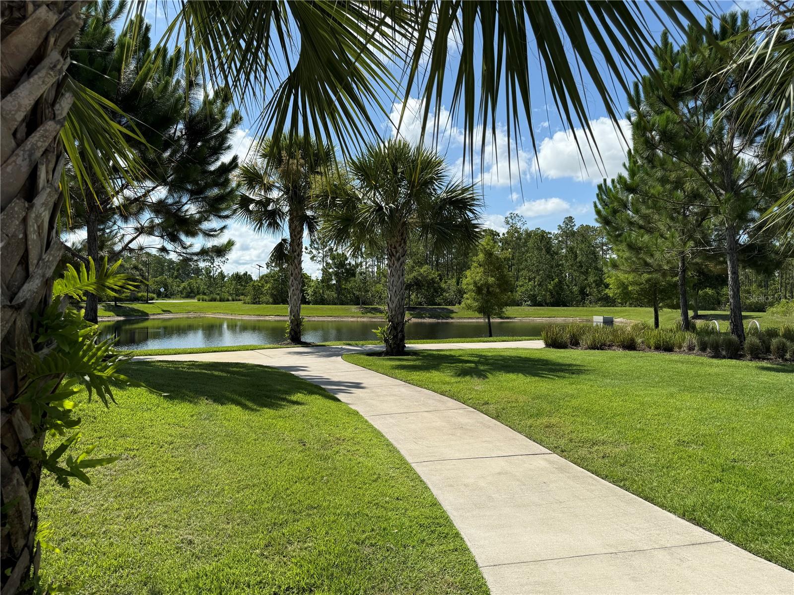 Image 42 of 42 For 17637 Serenoa Boulevard