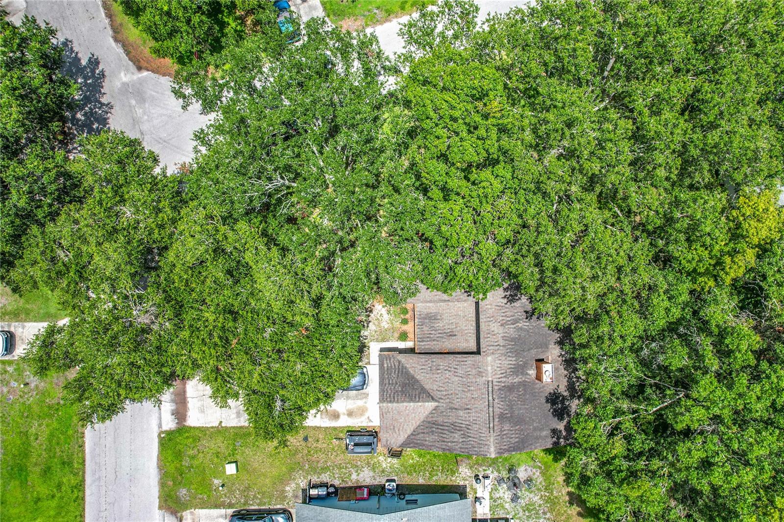 Image 40 of 43 For 4720 Wildflower Dr Drive