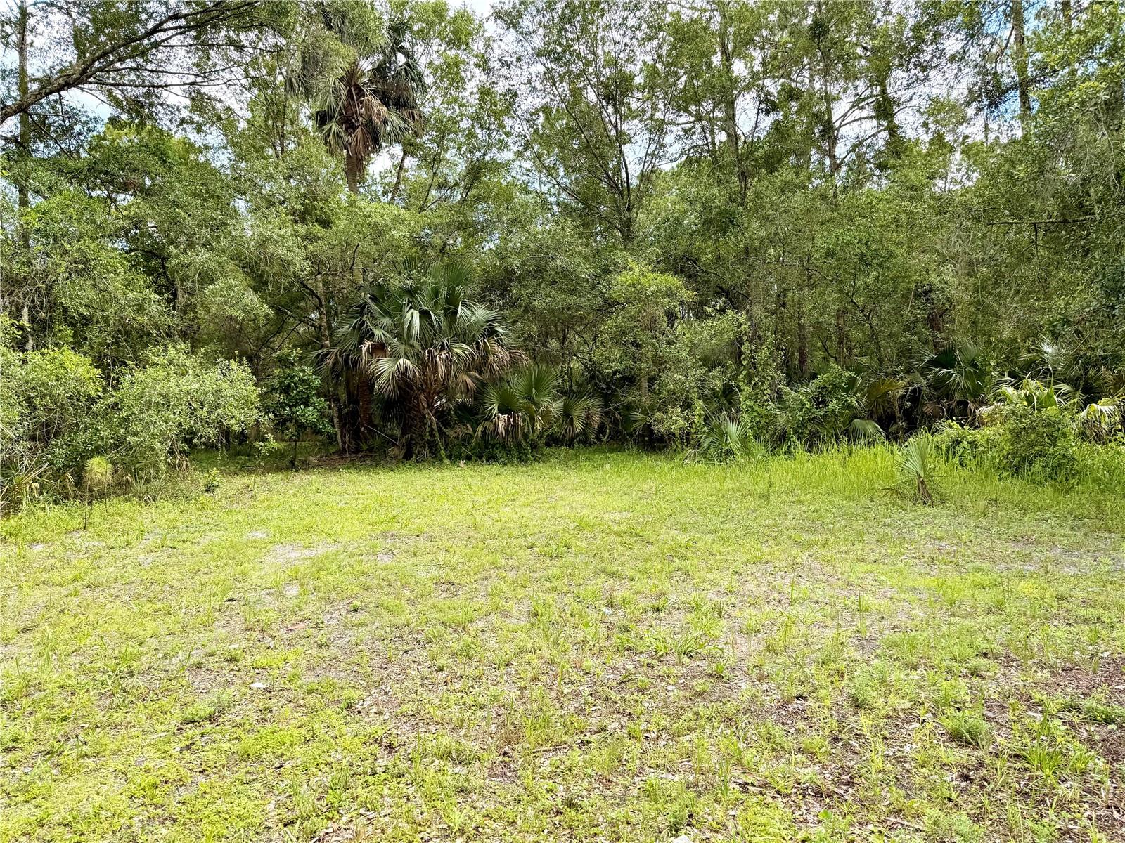 Image 9 of 11 For 25302 Mathew Street