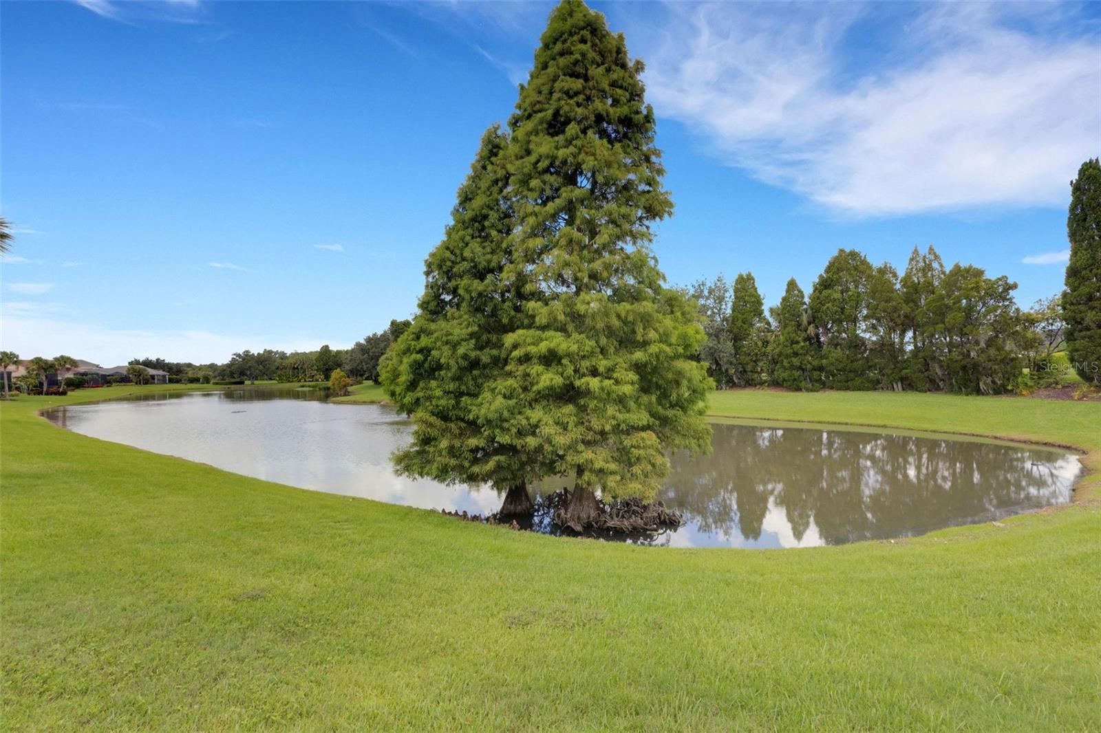 Image 54 of 63 For 2633 Bellerive Drive