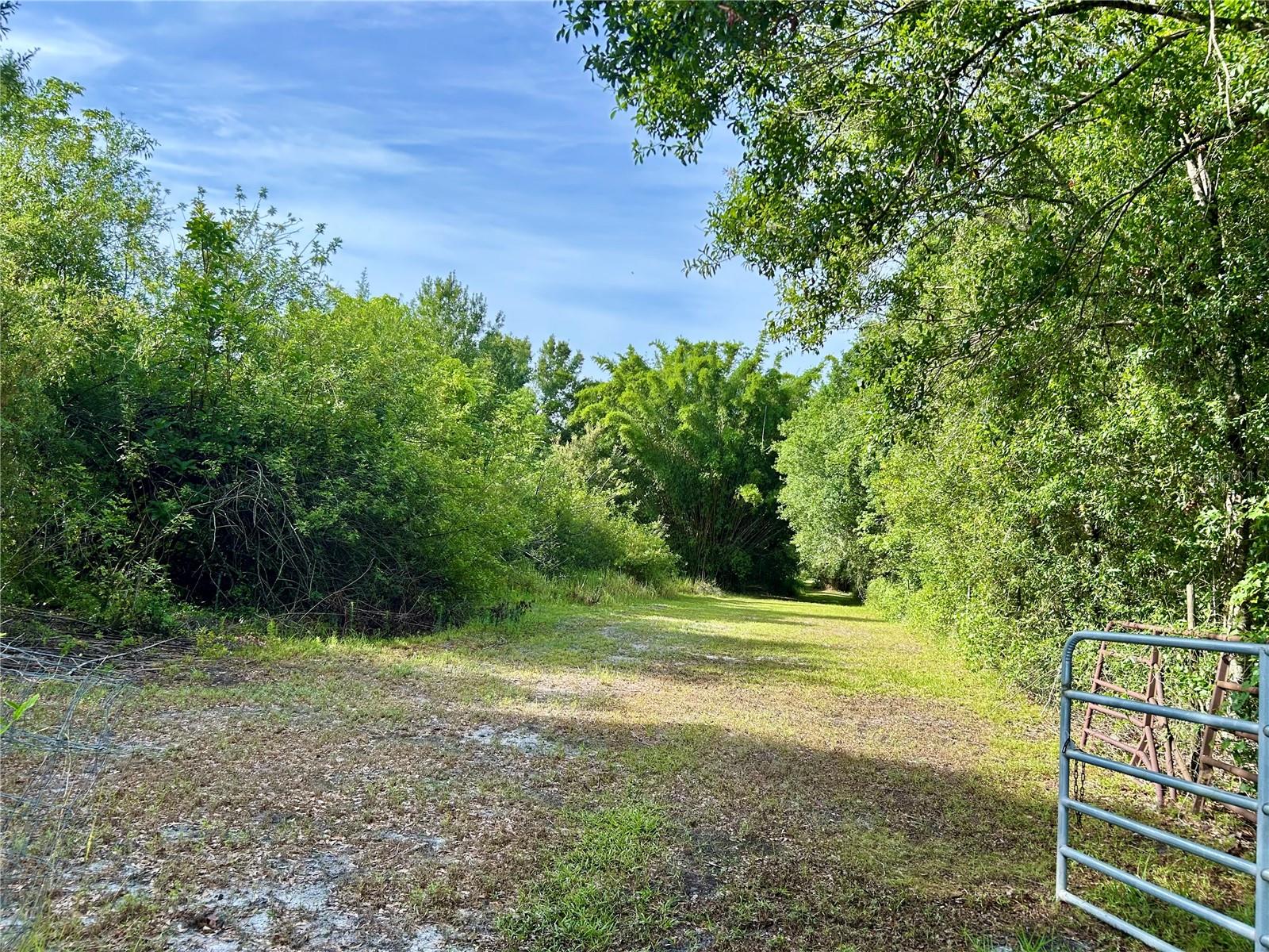 Image 15 of 19 For 1134 Hopkins Lane