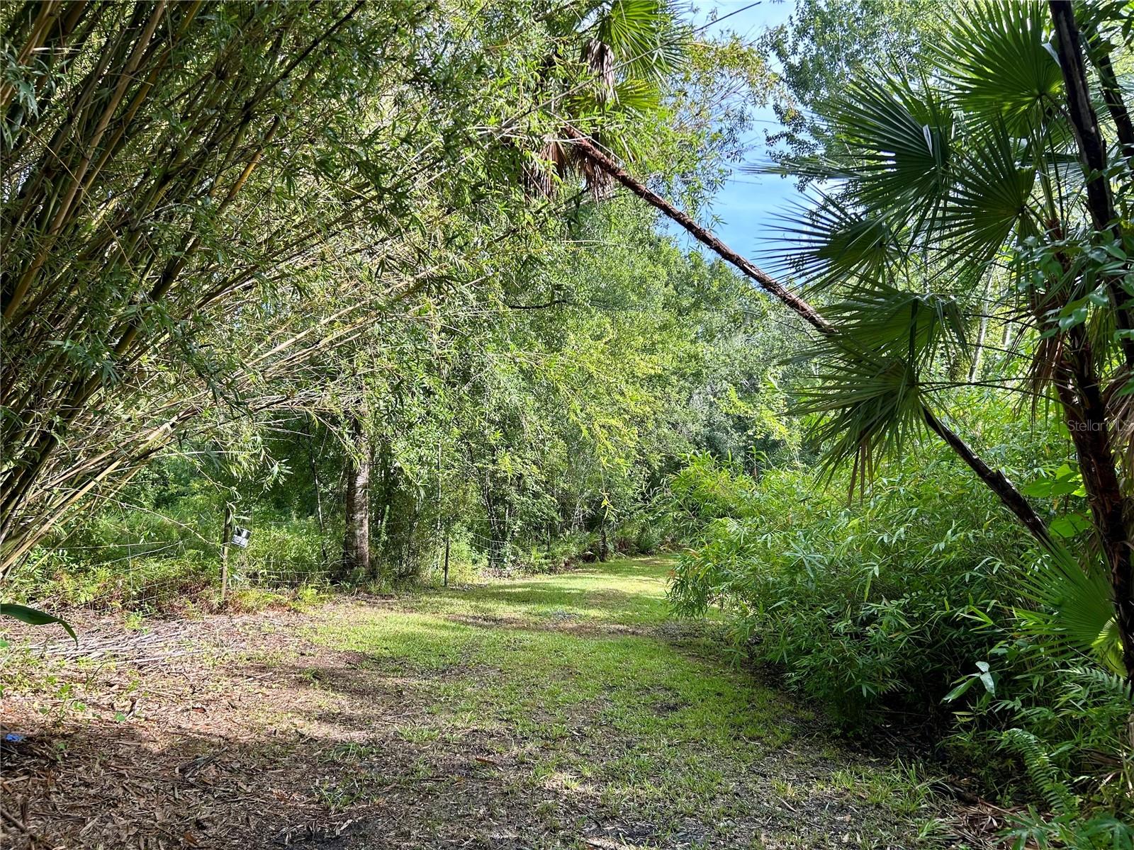 Image 4 of 19 For 1134 Hopkins Lane