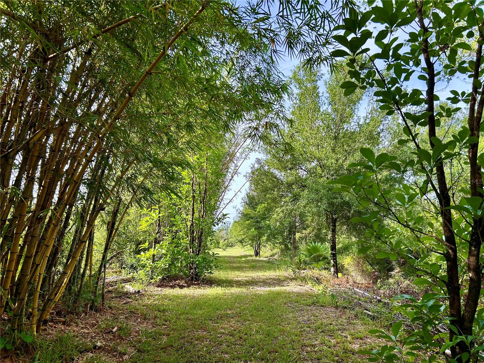 Image 5 of 19 For 1134 Hopkins Lane