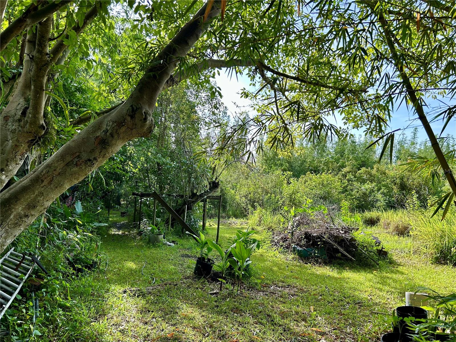 Image 6 of 19 For 1134 Hopkins Lane