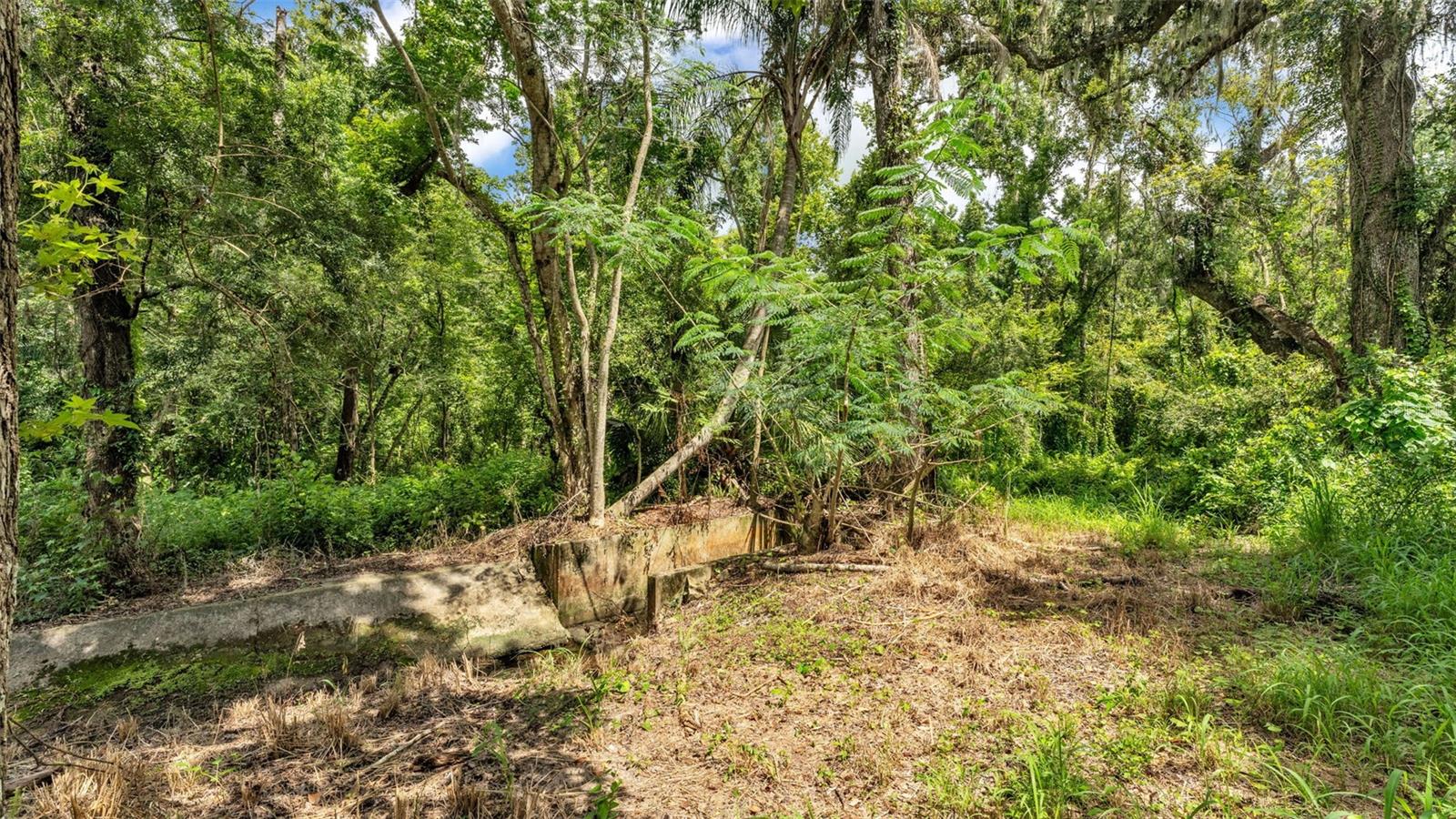 Image 32 of 90 For 512 Water Oak Court