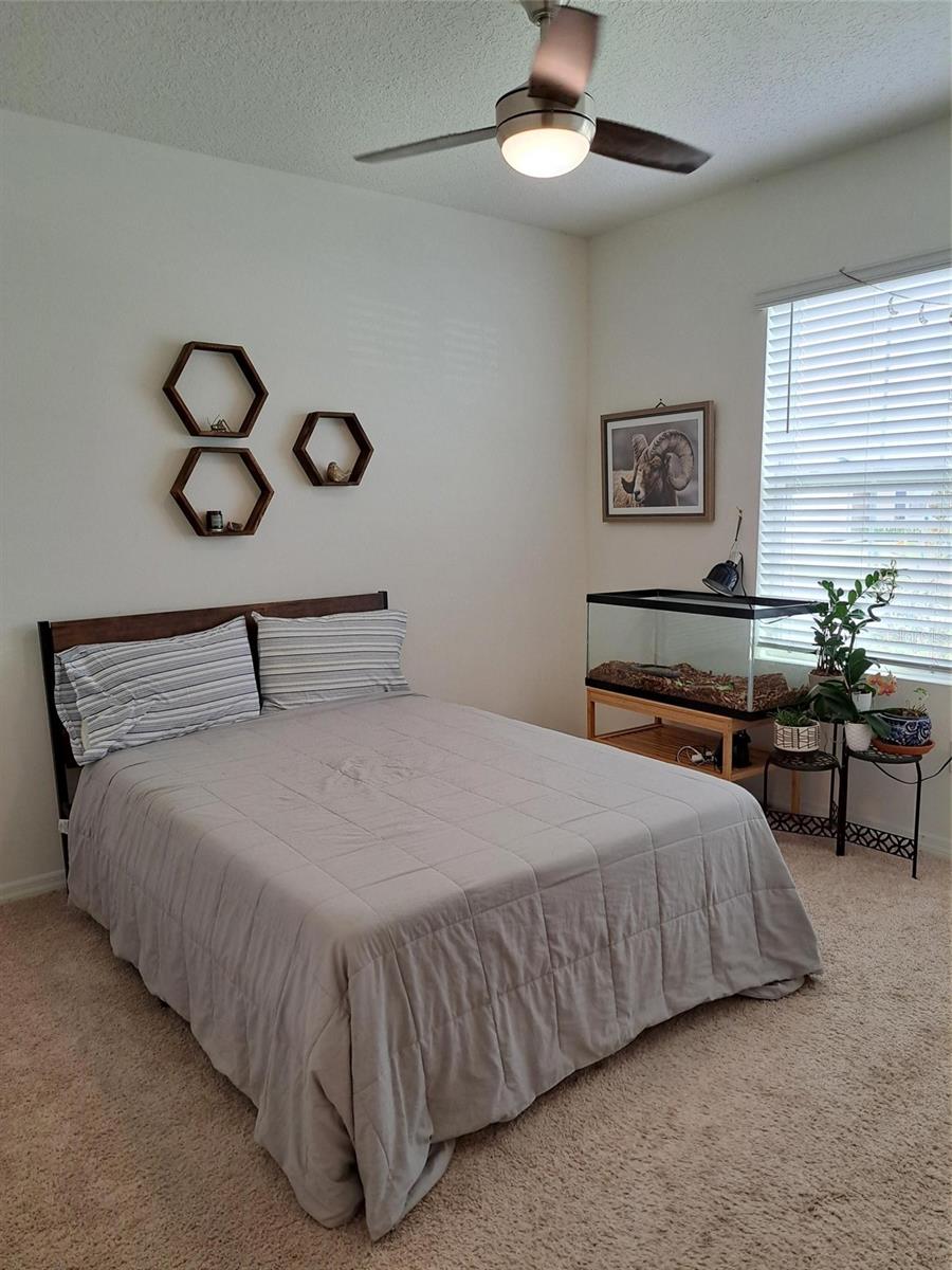 Image 22 of 36 For 11356 Amber Ridge Dr